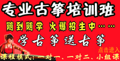 【古筝暑假班促销活动】